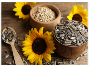 hạt hướng dương