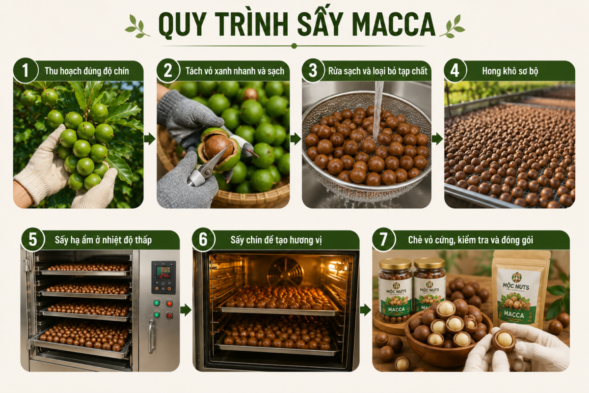 quy-trinh-say-macca-tai-moc-nuts
