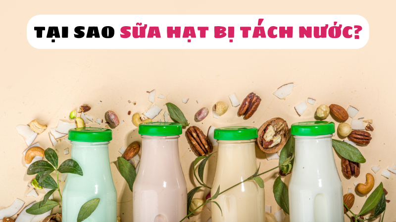 Tại sao sữa hạt lại bị tách nước?